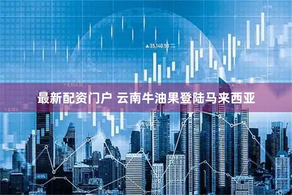 最新配资门户 云南牛油果登陆马来西亚